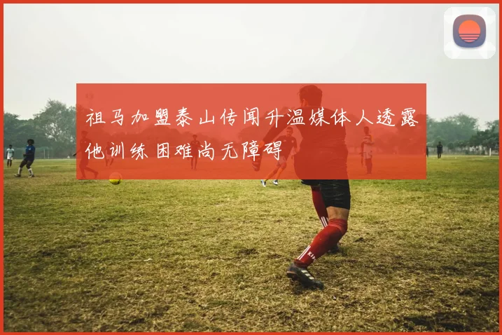 祖马加盟泰山传闻升温媒体人透露他训练困难尚无障碍