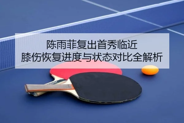陈雨菲复出首秀临近 膝伤恢复进度与状态对比全解析 - beats365